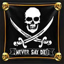 The Goonies Quest For Riches Flag