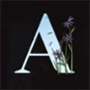 Aiko and the Wind Spirit A