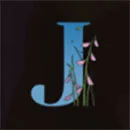 Aiko and the Wind Spirit J