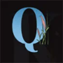 Aiko and the Wind Spirit Q