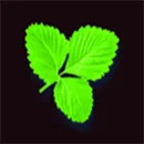 Bear’s Tricks Berryleaf
