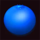 Bear’s Tricks Blueberry