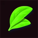 Bear’s Tricks Leaf