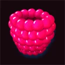 Bear’s Tricks Raspberry