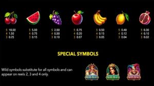 Fruity X125 Paytable