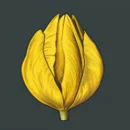 Mystery Garden Paytable Symbol 3