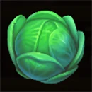 Pig Farm Cabbage