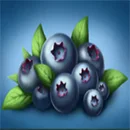 Quetzal Quest Blueberry