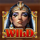 Rise of Cleopatra Wild
