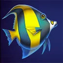 Dolphin’s Wealth Fortune Fish