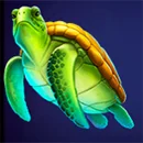 Dolphin’s Wealth Fortune Turtle