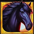 Mustang Hold and Win Horse