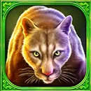 Mustang Hold and Win Lynx