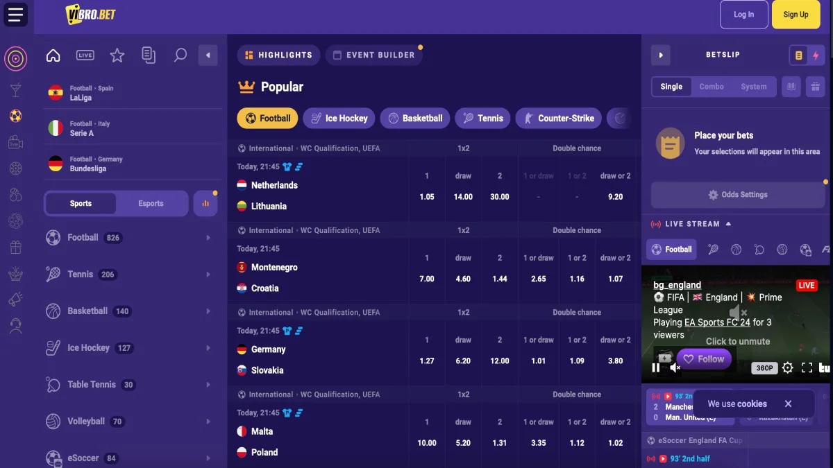 VibroBet Casino Sportsbook