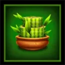 3 Coin Treasures Cactus