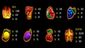 Burning Coin 40 Paytable