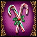 Million Christmas 3 Canes