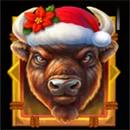 Buffalo Christmas Canyon Buffalo