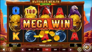 Buffalo’s Wealth Fortune MegaWin