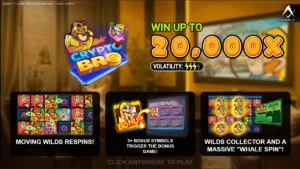 Crypto Bro Homescreen