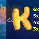 4 Fantastic Fish Puffer 4