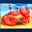 4 Fantastic Fish Puffer 8